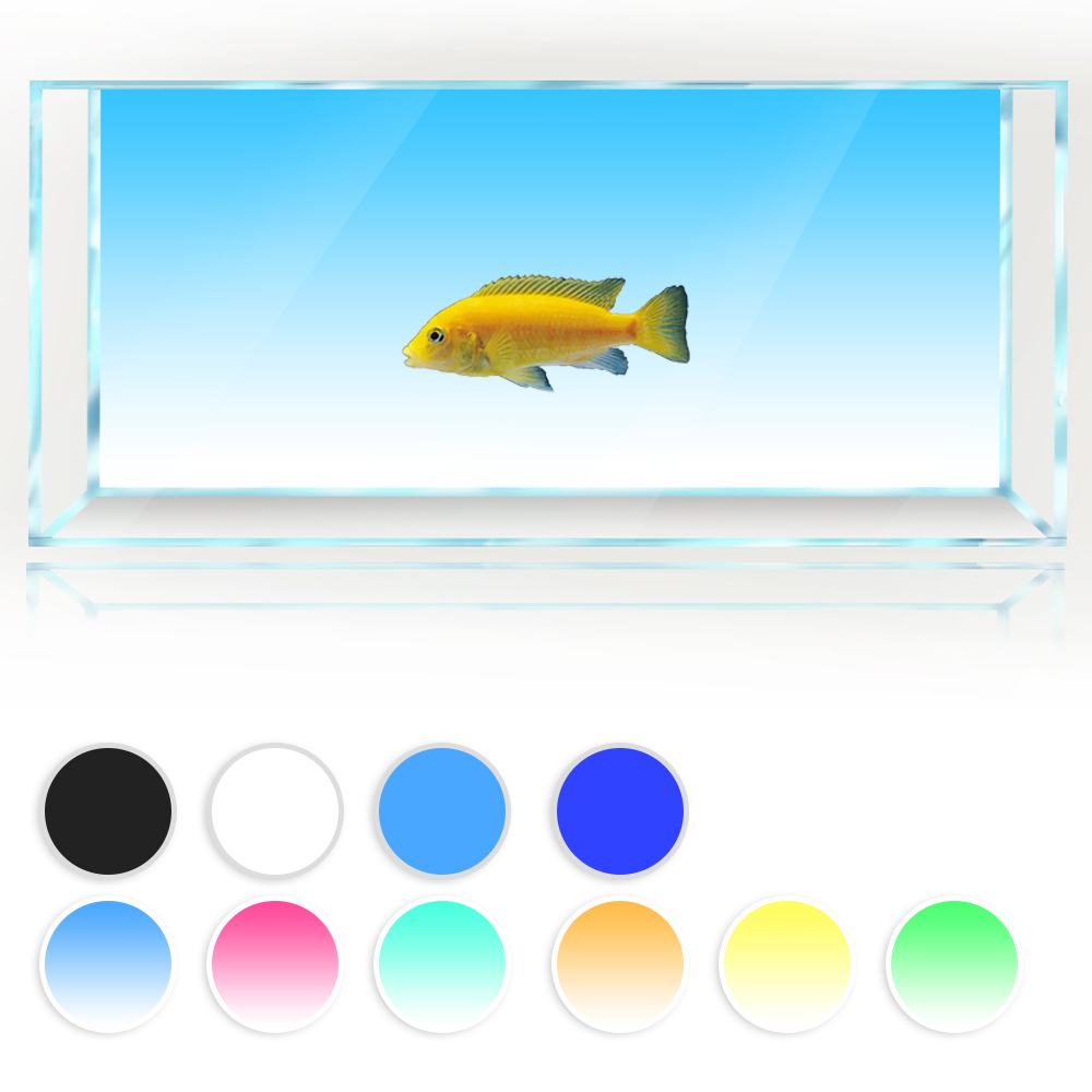 Aquarium Fish Yellow And Black - Tło akwarium Biały Żółty Zielony Niebieski