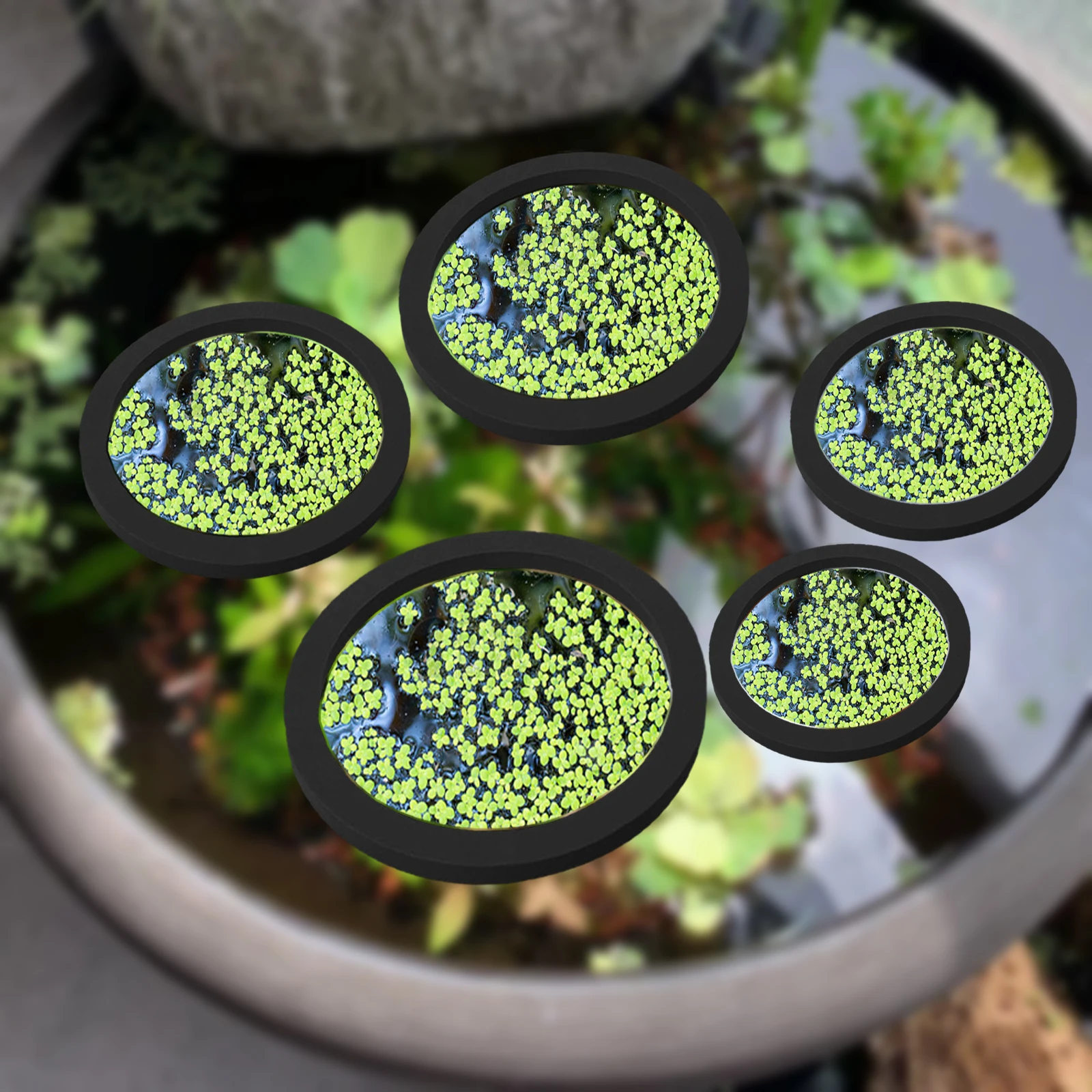 Aquarium Fish Accessories - 5Pcs EVA Pierścień do karmienia ryb