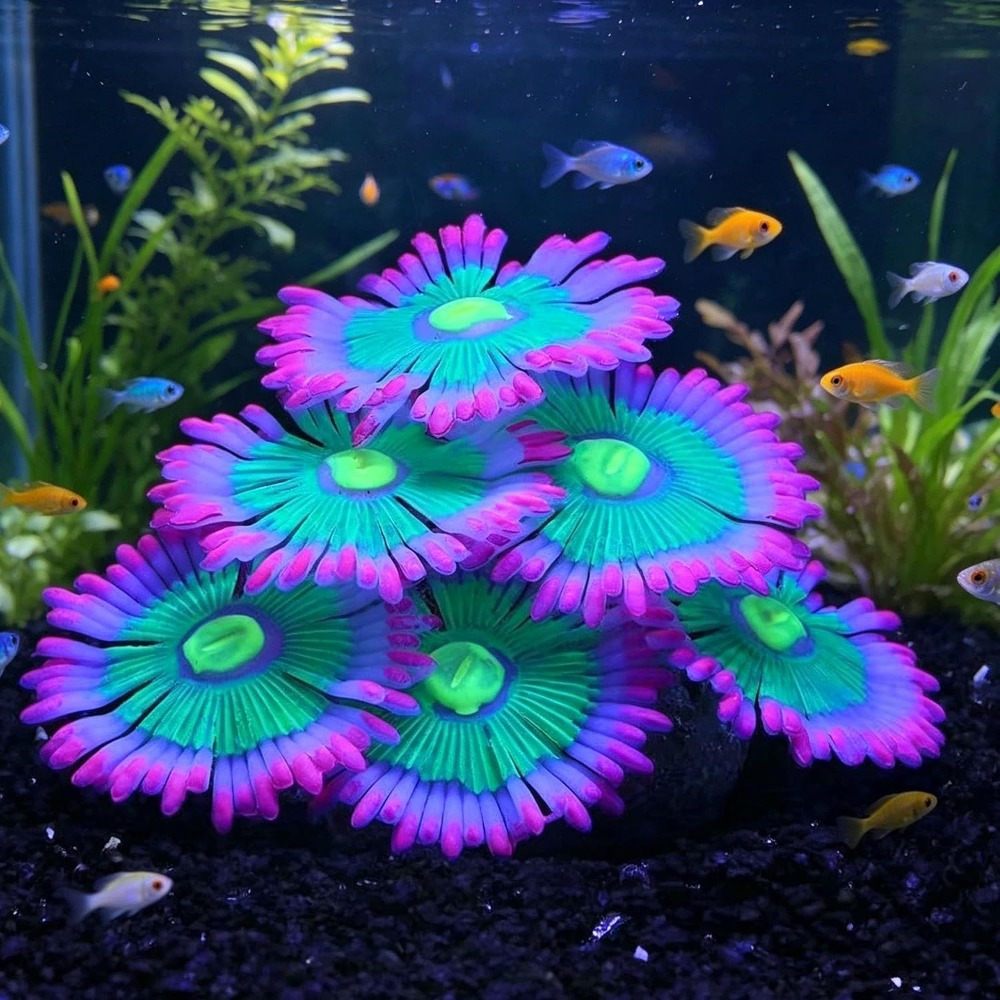 Aquarium Fish Tank Price - Świecące, miękkie dekoracje do akwarium, silikonowe,