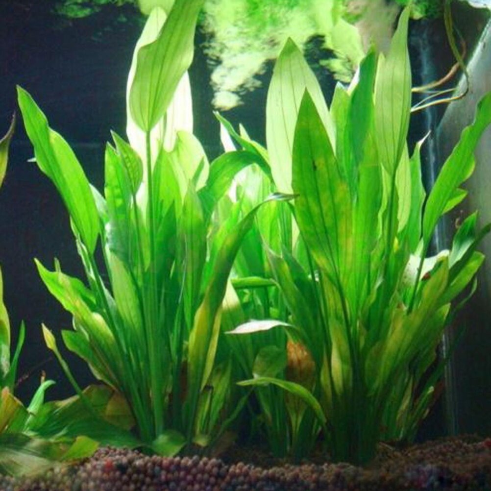 Aquarium Fish Tank Price - 15cm sztuczne akwarium rośliny dekoracyjne ozdobne