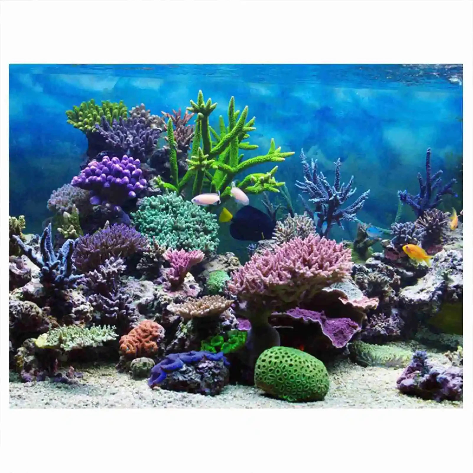 Aquarium Fish Wallpaper - 3D plakat krajobraz akwarium las deszczowy