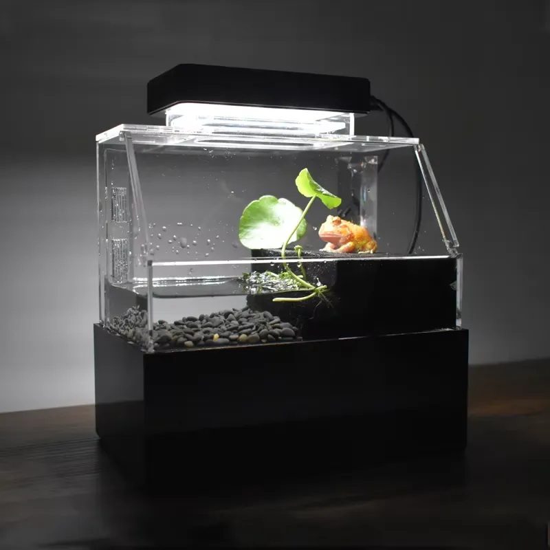 Aquarium Fish For Sale - Relaxlines Niestandardowe Akwarium Biurkowe Mini Luksusowe