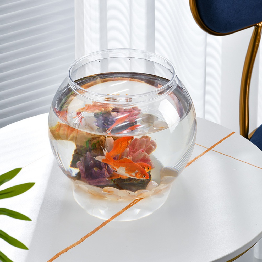 Akwarium Domowe Przezroczyste  – Aquarium Fish Live recenzja i cena