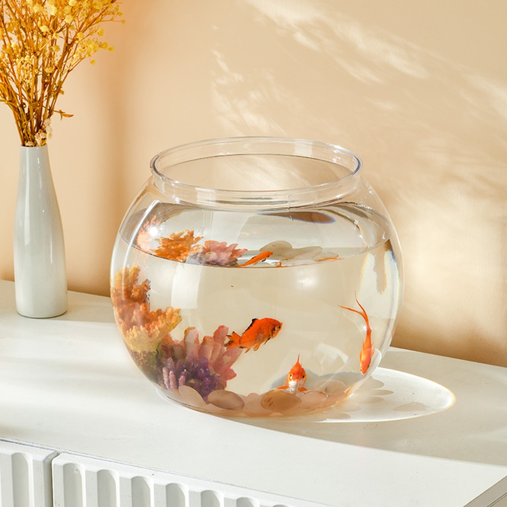 Akwarium Domowe Przezroczyste  – Aquarium Fish Live recenzja i cena