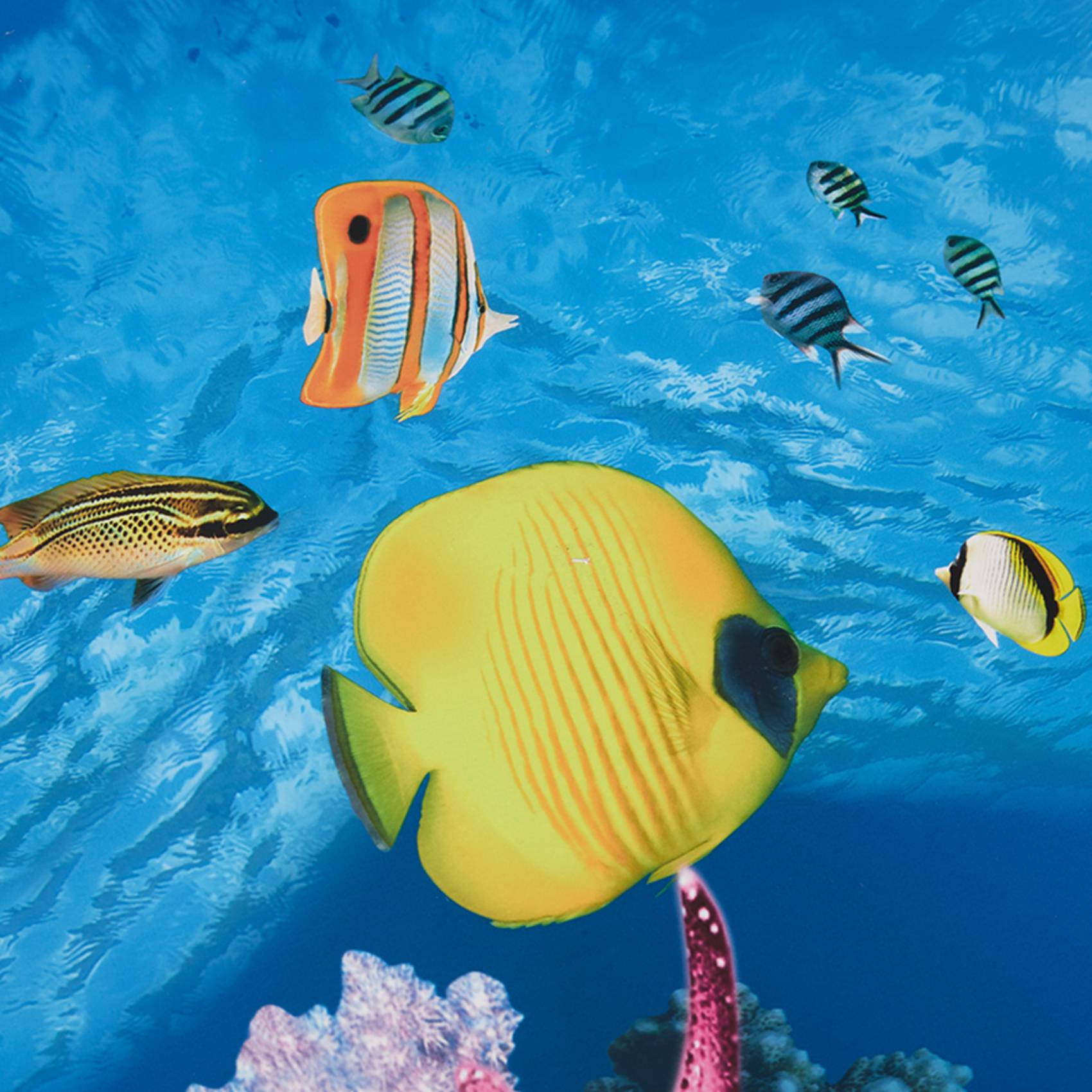 Papier tło do akwarium ABWR, o – Aquarium Fish Wallpaper recenzja i cena