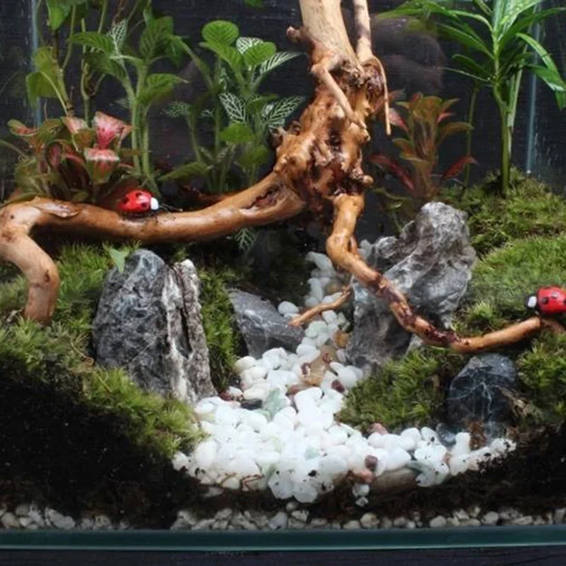Naturalne drzewo pnia Driftwoo – Aquarium Fish Tank Price recenzja i cena