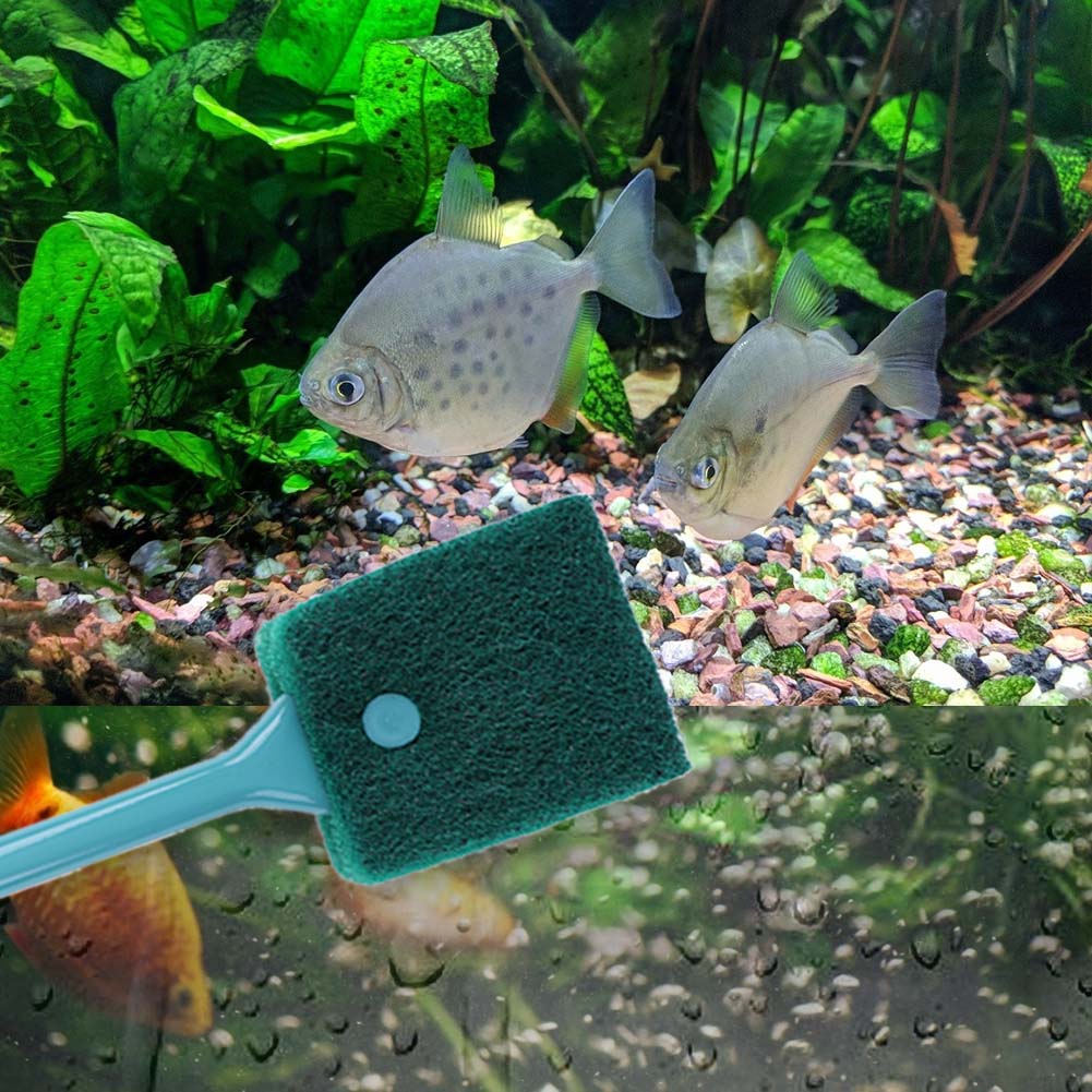 Dwustronny czyścik do akwarium – Aquarium Fish Accessories recenzja i cena