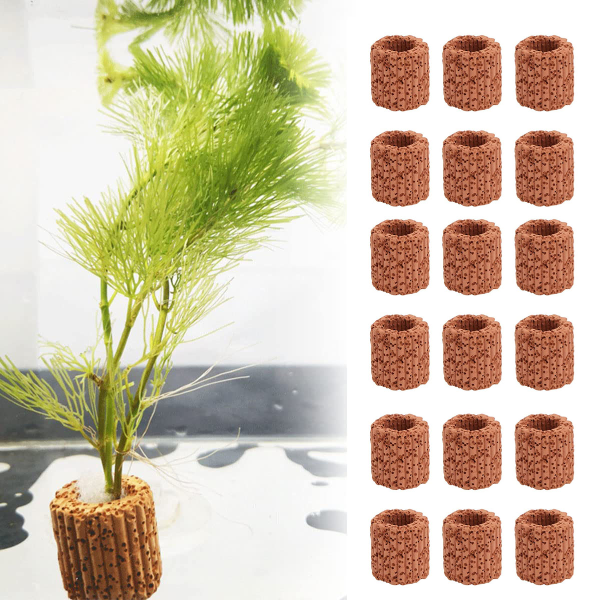 10/20 szt. Podstawa zamontowan – Aquarium Fish Tank Price recenzja i cena