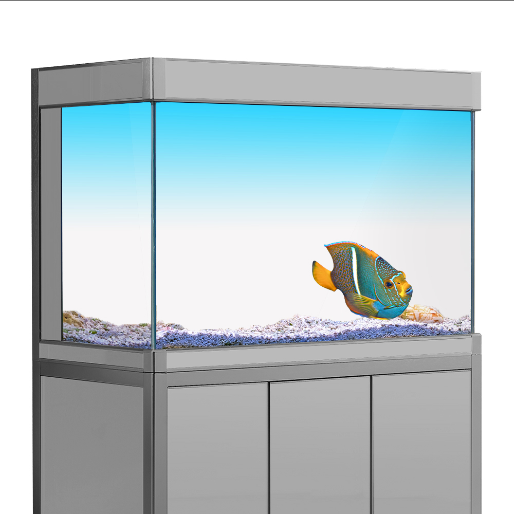 Akwarium Tło Naklejka Biały Żó – Aquarium Fish Wallpaper recenzja i cena