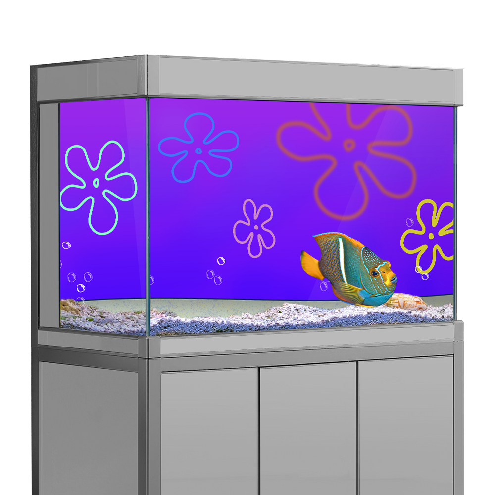 Cartoon bob podwodne akwarium  – Aquarium Fish Wallpaper recenzja i cena