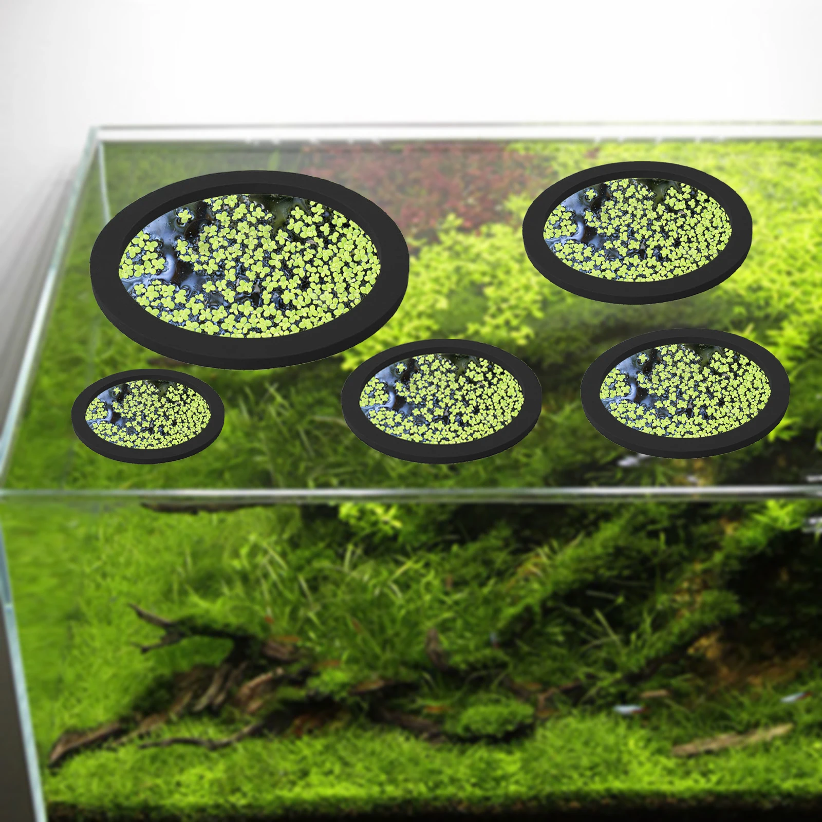 5Pcs EVA Pierścień do karmieni – Aquarium Fish Accessories recenzja i cena