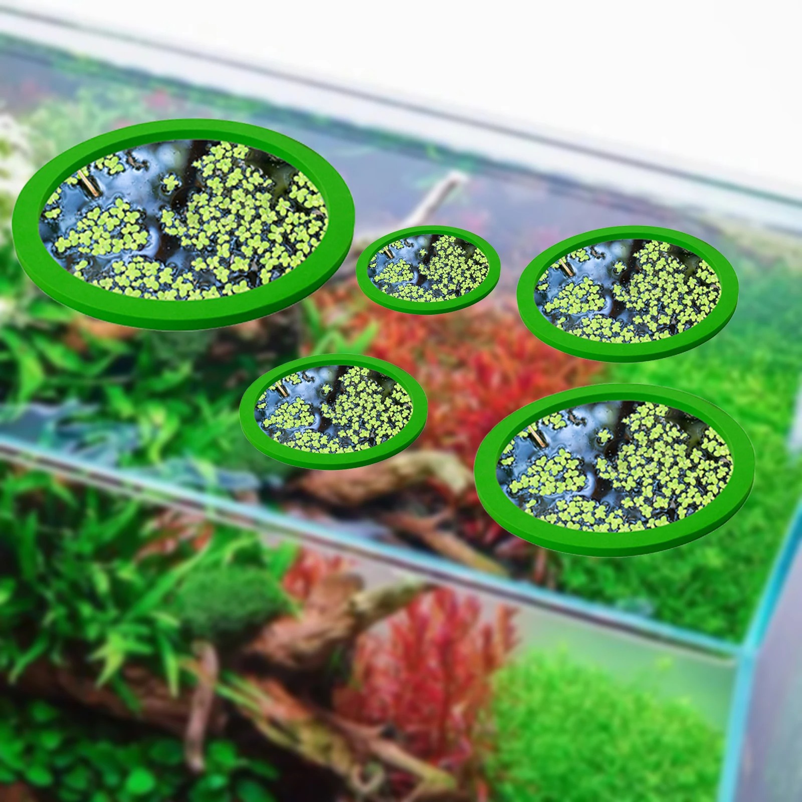 5Pcs EVA Pierścień do karmieni – Aquarium Fish Accessories recenzja i cena