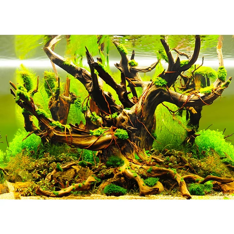 Sztuczne koralie do akwarium 5 – Aquarium Fish Wallpaper recenzja i cena