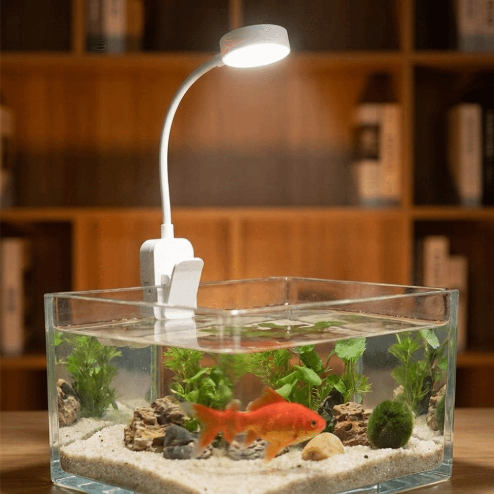 360 °   Obrotowa lampa z klips – Aquarium Fish Colorful recenzja i cena