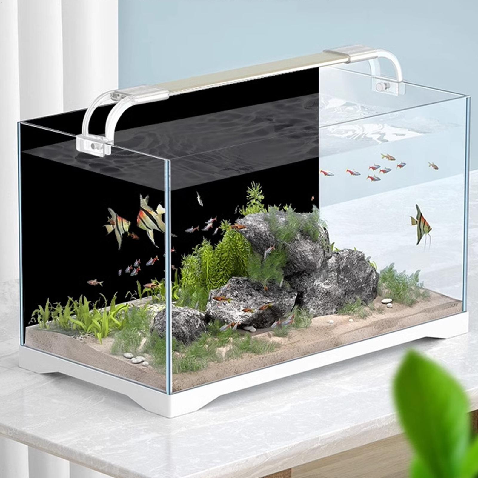 Czarna tapeta do akwarium, tło – Aquarium Fish Wallpaper recenzja i cena