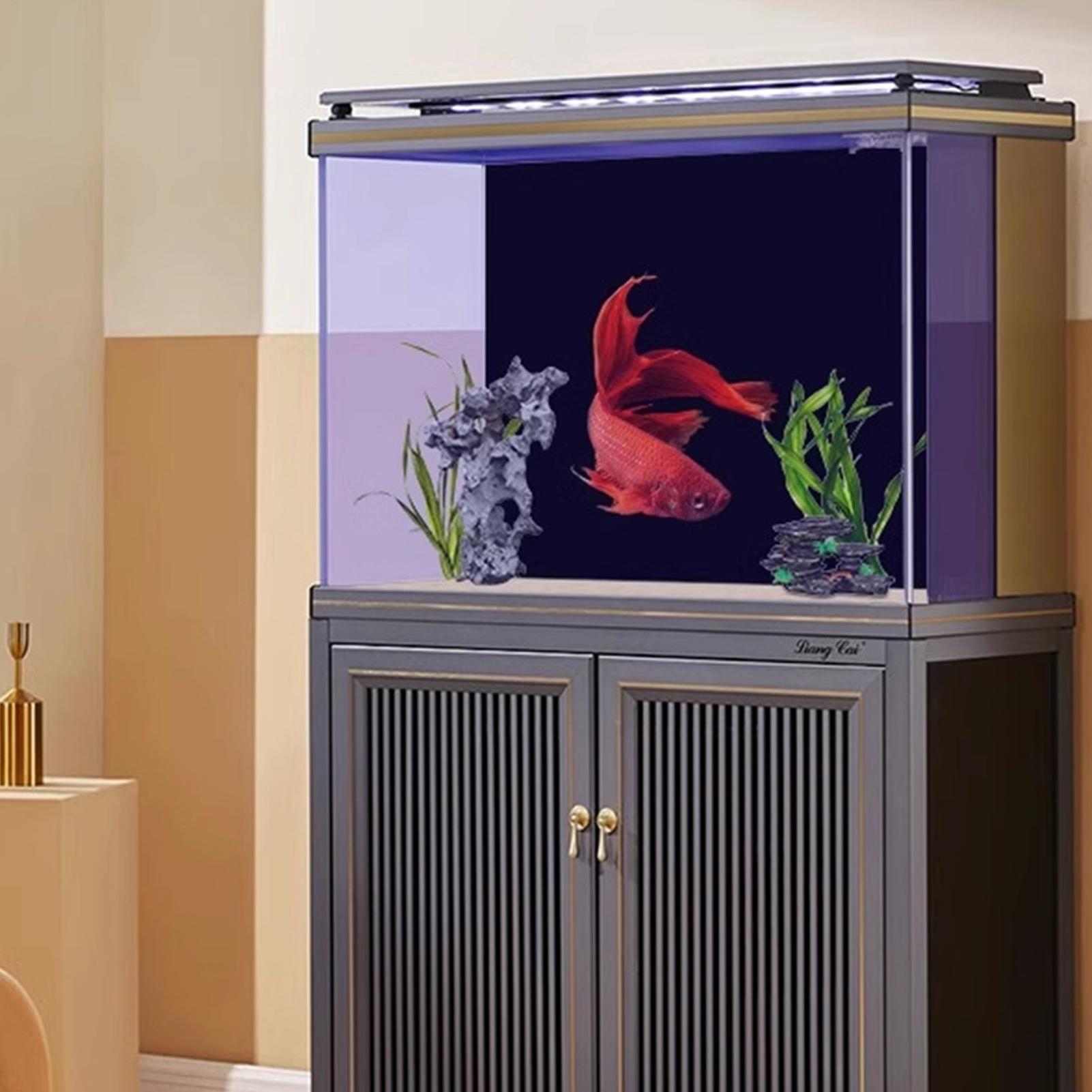 Czarna tapeta do akwarium, tło – Aquarium Fish Wallpaper recenzja i cena