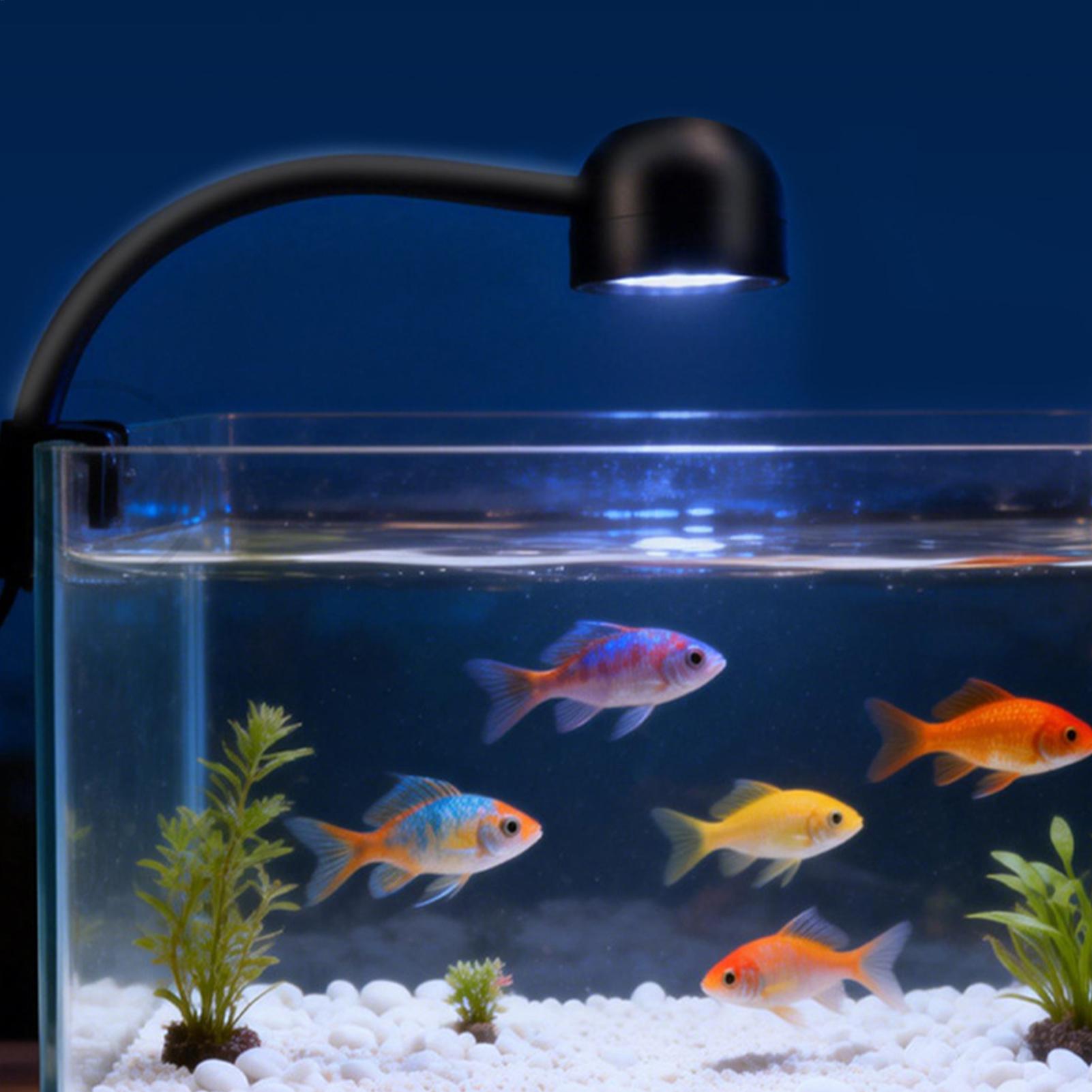 Lampa LED do akwarium obracana – Aquarium Fish Live recenzja i cena