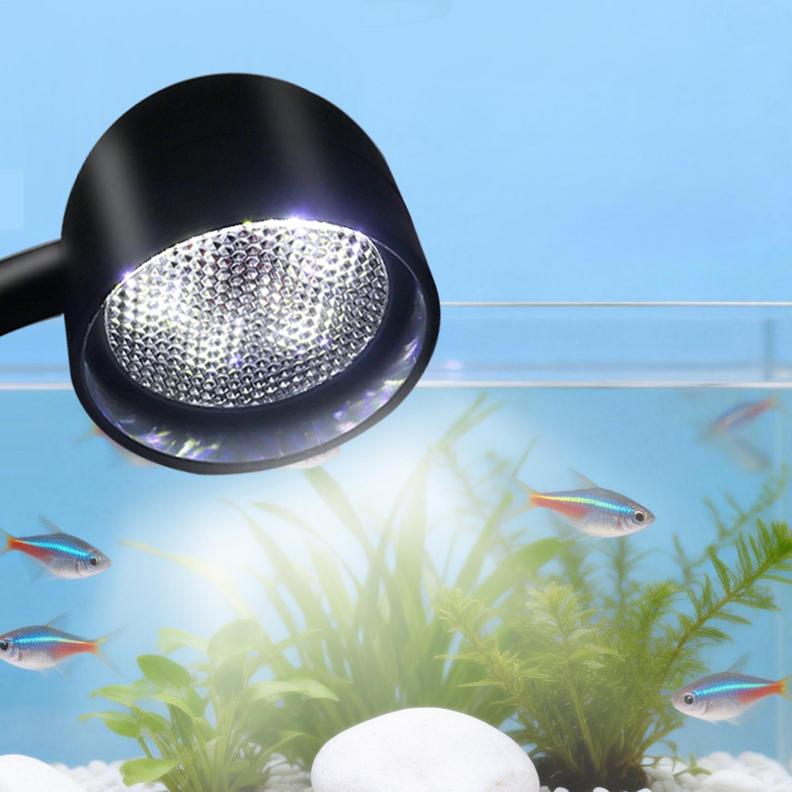 Lampa LED do akwarium obracana – Aquarium Fish Live recenzja i cena