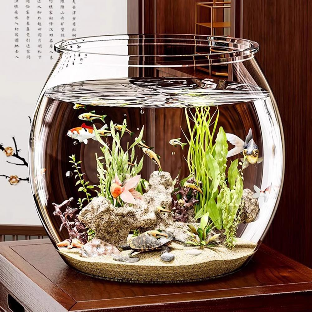 Okrągła, przezroczysta plastik – Aquarium Fish Live recenzja i cena