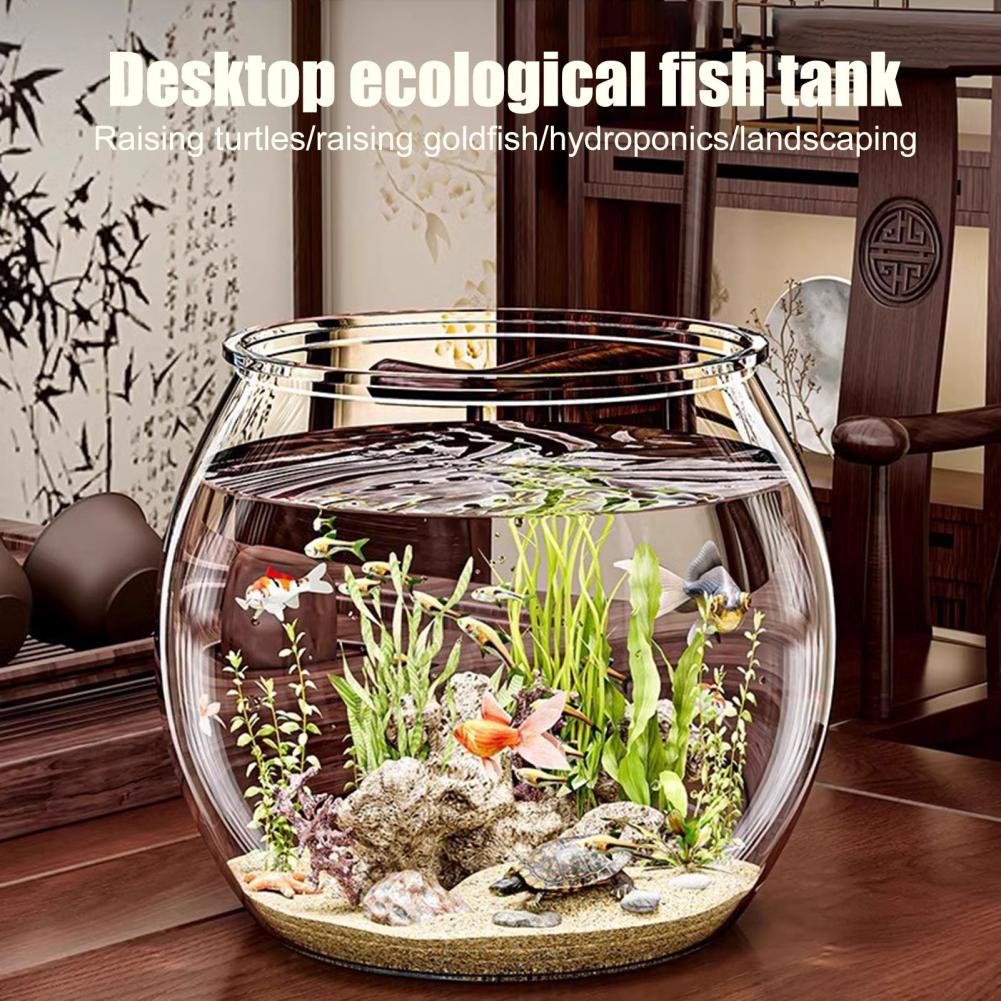 Okrągła, przezroczysta plastik – Aquarium Fish Live recenzja i cena