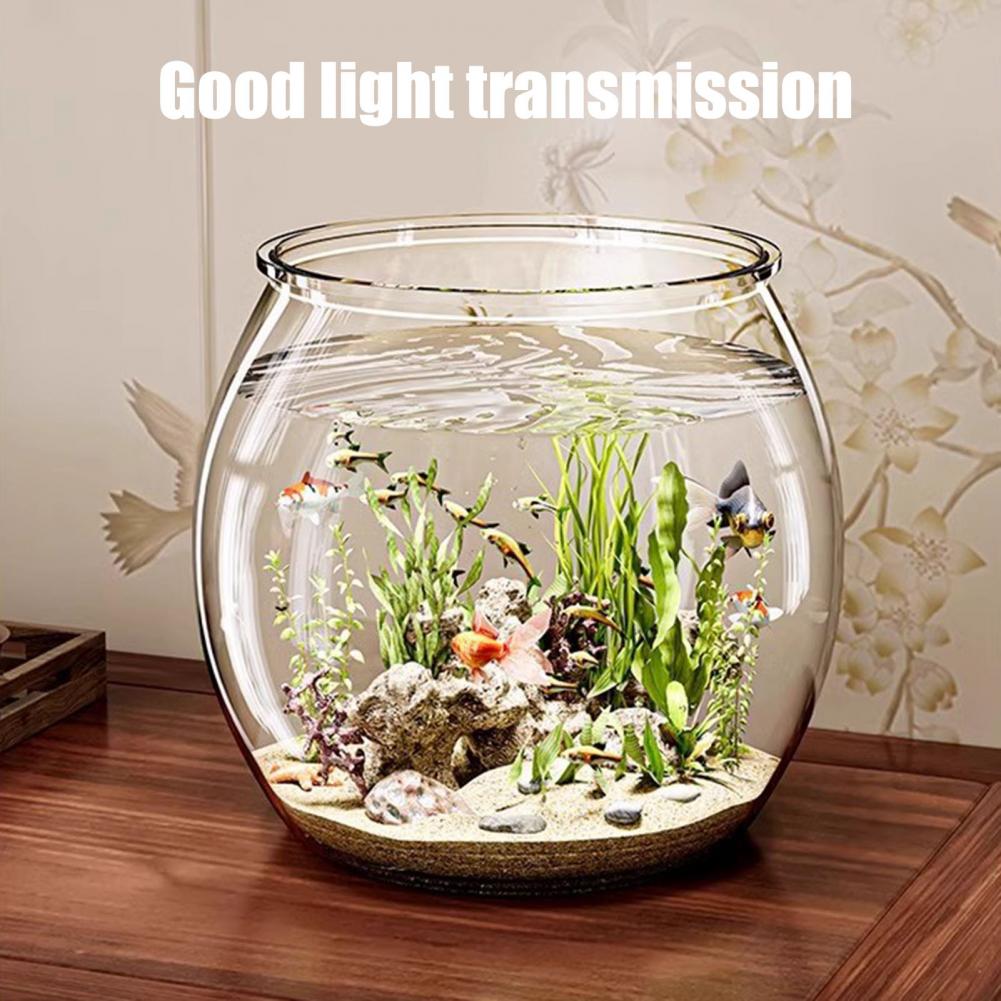 Okrągła, przezroczysta plastik – Aquarium Fish Live recenzja i cena