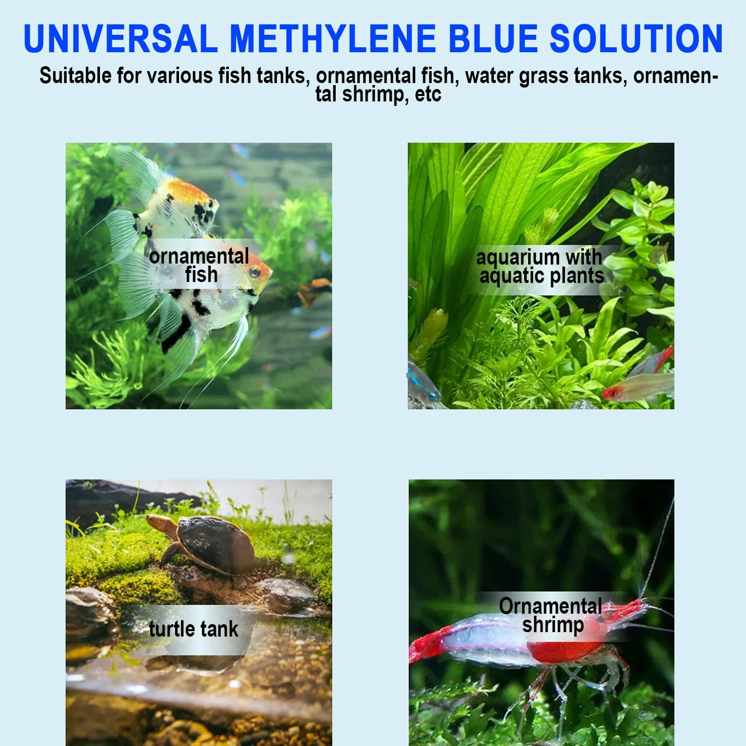 Akwarium Niebieski Metylina Le – Aquarium Fish Parasites recenzja i cena