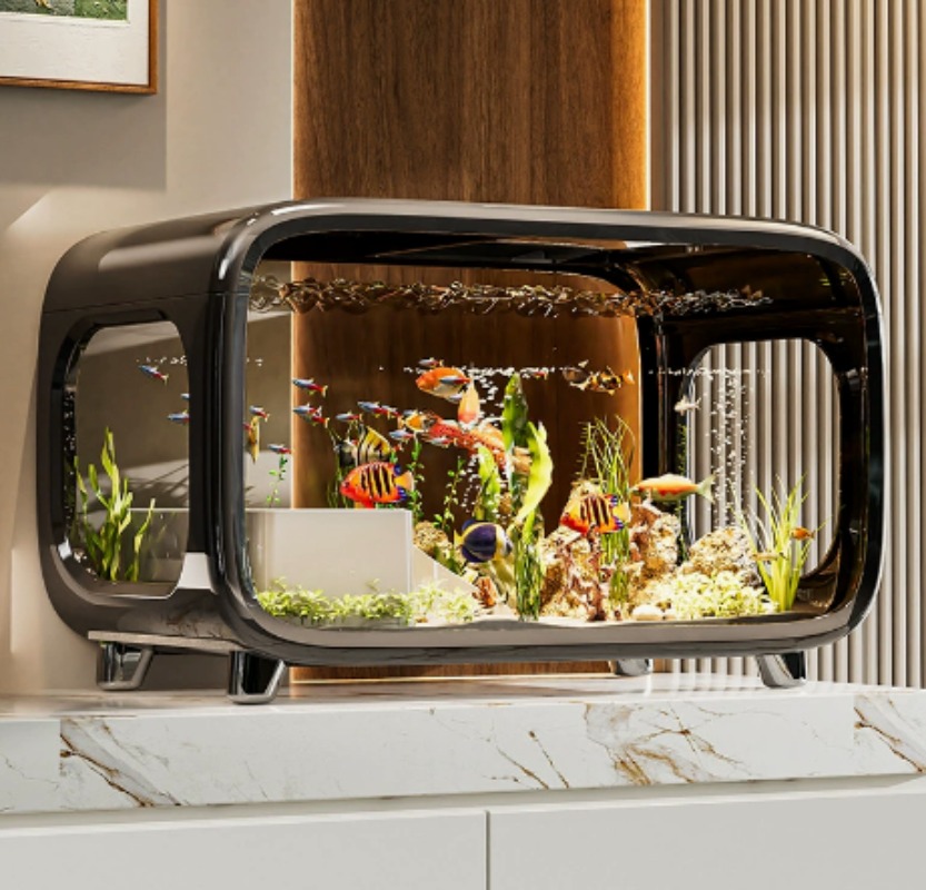 Kreatywny, przezroczysty, ekol – Aquarium Fish Live recenzja i cena