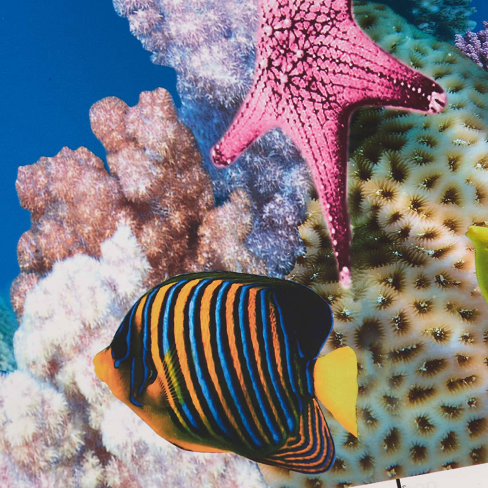 2X Papier do tła akwarium, obr – Aquarium Fish Wallpaper recenzja i cena