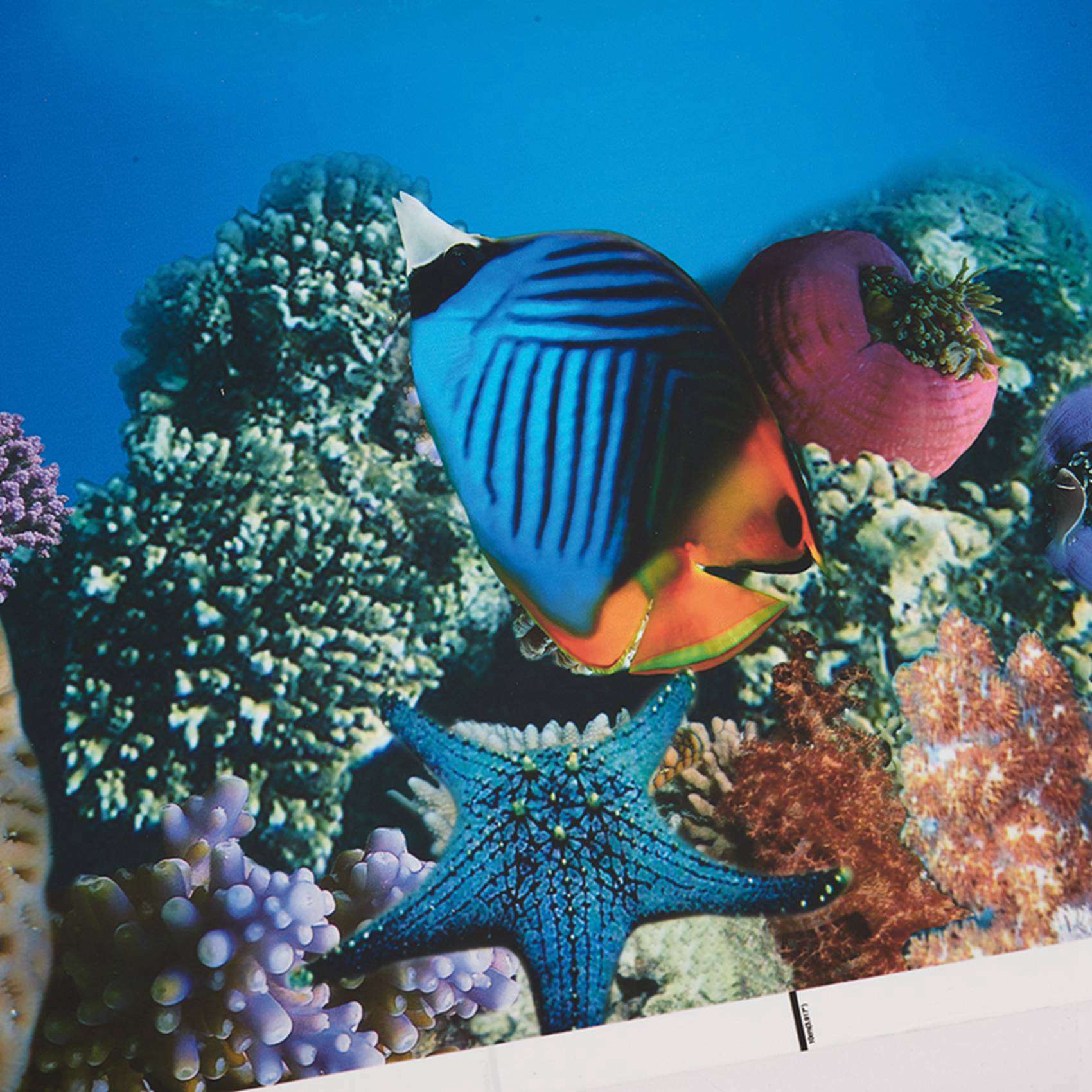 2X Papier do tła akwarium, obr – Aquarium Fish Wallpaper recenzja i cena