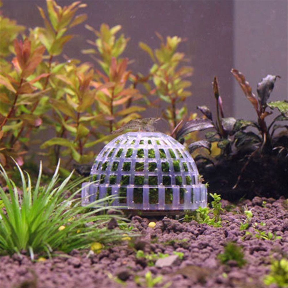 Nowa Plastikowa Kopuła z Meche – Aquarium Fish Tank Price recenzja i cena