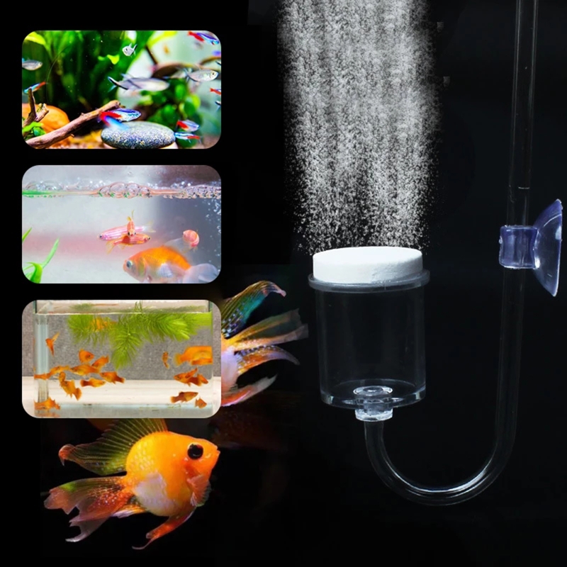 4szt Zestaw DIY Dyfuzor CO2 do – Aquarium Fish Live recenzja i cena