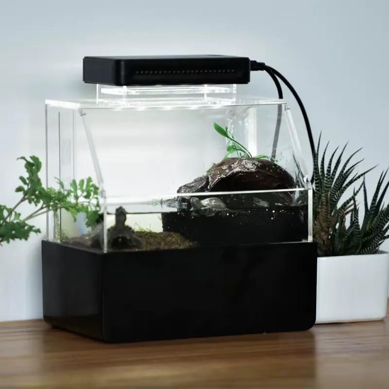 Relaxlines Niestandardowe Akwa – Aquarium Fish For Sale recenzja i cena